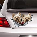 Car Sticker Car Decal,Yorkies Pair Vinyl Decal Laptop Car Truck Bumper Window Sticker