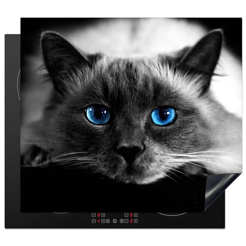 KitchenYeah© Protege Plaque Tapis Pour Induction 60x52 cm Deco Cuisine Protection Vitrocéramique Pour Cuisiniere Chat - Yeux - Gris - Bleu