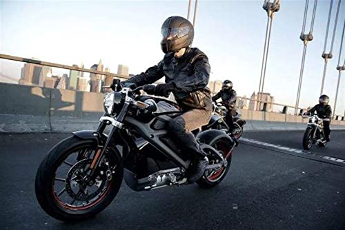 Carénage garde moteur CB400 curseurs de cadre protection choc - 4