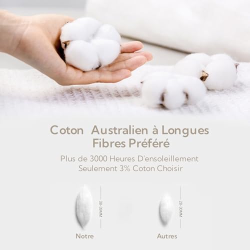 Housse de couette 240x260 coton anti-glisse parure zippée MILDLY - 7