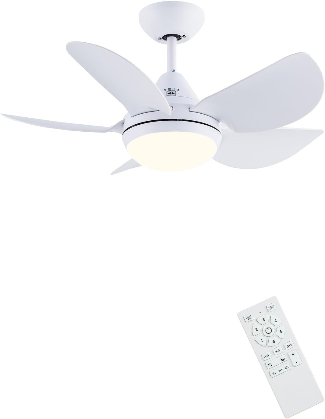 Newday 30'' Small White Ceiling Fan with Remote Control, Modern Ceiling Fan with 5 Reversible Blades, Stepless Adjustable CCT and Brightness, 3 Timer, Sleep Mode for Kids Bedroom Livingroom