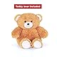 Radio Flyer Push & Pull Walker Kombi mit Teddybär, roter 2-in-1 Wagen für Kleinkinder, für 1–4 Jahre