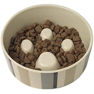 PetRageous 12017 Metro Slowfeed Dishwasher Safe Dog Food Bowl with 4-Cup Capacity 7-Inch Diameter 2.25-Inch Tall for Medium
