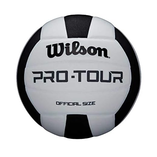 Wilson Pro Tour Indoor Volleyball - Black/White