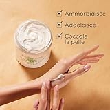 Zoom IMG-1 elizabeth arden green tea honey Zoom IMG-1 elizabeth arden green tea honey