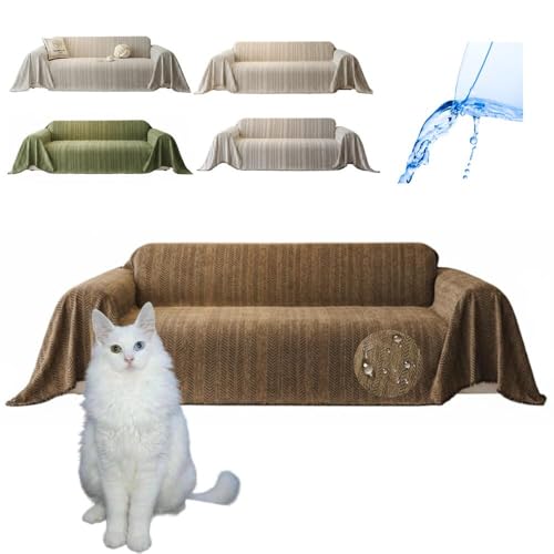 Lifetips ^[LbVAS Turkish Angora \t@[Jo[ k  􂦂 h }`Jo[ 2l| 3l| It IȂ ~ Eh~ LΉ lGʗp iuEj i230180CMj