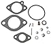 Sierra International 18-7037 Carburetor Kit for Chrysler Force