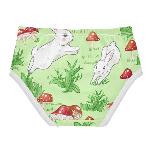 Lawn Rabbit Green Little Girl Panties Toddler Girls Underwear Cotton Stylish Kids Undies Briefs 2t2