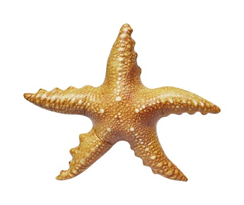 Jet Creations Inflatable Starfish, 20