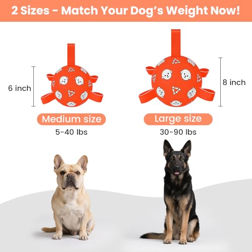 Image of 6 Inch Dog Soccer Ball, Interactive Dog Toys for Small Dogs | Floating Water Toys, Jolly Ball with Straps, Durable Outdoor Training Dogs Tug Toy, Outside Pet Toys, Birthday Gift for Puppy