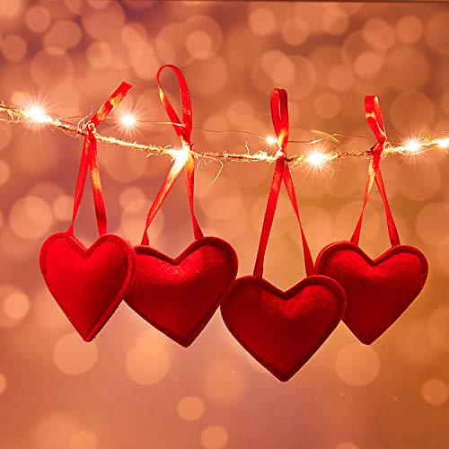 Willbond 30 Pieces Valentines Hanging Felt Heart Ornaments Red Felt Heart Christmas Ornaments For Wedding Valentine Party Decoration #TOP5