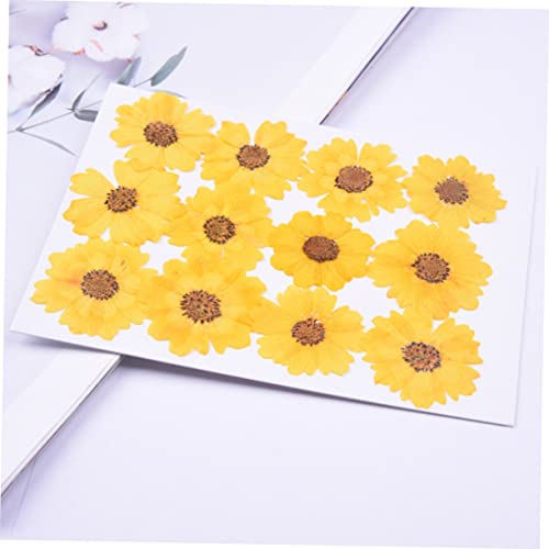 HAPINARY 24 Unidades relevo faça você mesmo materiais para unhas flor faça você mesmo marcadores de