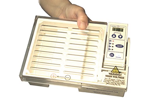embitec 038401 System Electrophoresis RunOne Complete for Nucleic Acid