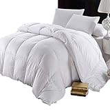 Abripedic Goose Down 600-Thread-Count Full / Queen Size Solid White Goose Down Comforter, 100...