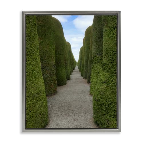 Topiary Trees Hedge Pathway, 24 x 30 Inch Canvas in Floater Frame