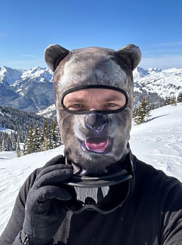 Image of 3D Cat Ski Balaclava Sheisty Face Mask with Ears Cute Animal Ski Mask for Music Festivals Raves Party Outdoor Activities