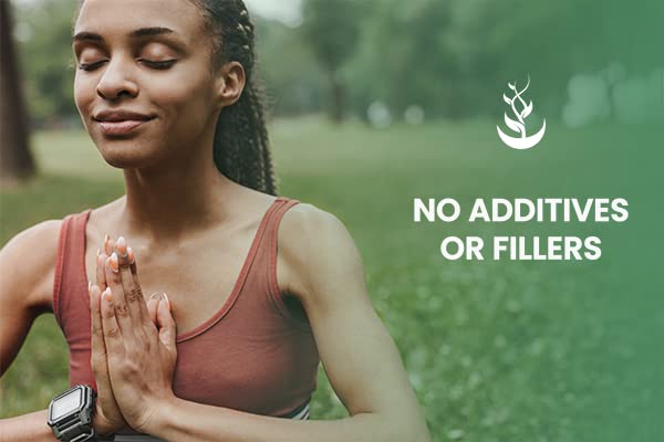 Miniatura 6 de Pure Original Ingredients Yerba Mate (365 cápsulas), sin magnesio o rellenos de arroz, siempre pura, verificada por laboratorio