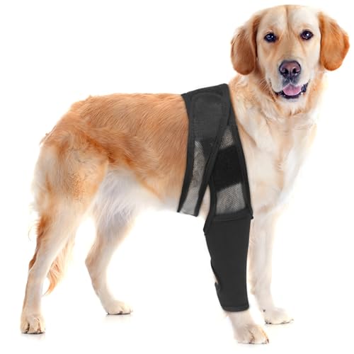 Dog Knee Brace - Support for Torn ACL Hip Dysplasia Arthritis and Ligament Injuries Comfort for Front & Hind LegsRest for pet Rehabilitation Adjustable （S）