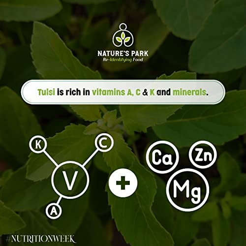Image of Nature's Park Herb - Tulsi Leaves-Pure & Dry Holy Basil (Pet Jar) 45gm