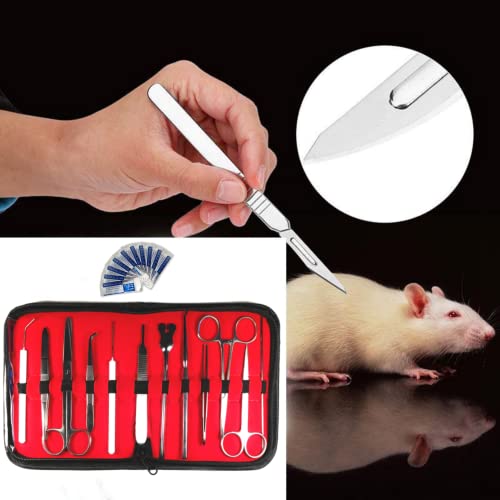 20 Pcs Dissection Dissecting Kit Set Tools - for Advanced Medical Surgical Students Professionals - Lab Anatomy Utensils Stainless Steel with Scalpel Knife Handle Blades Supplies - Thumbnail 3
