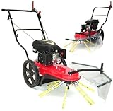 Kehrmaschine Radialbesen 700 Wildkrautbürste Unkraut Entferner 56756 Kehrbesen, Besen Unkrautvernichter Fugenreiniger, Fugenbürste Pflasterbürste