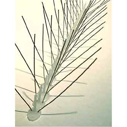 Bird-X Bird Spikes Slim Stainless Steel, 50 Ft