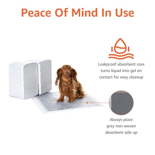 Image of AmazonBasics Pet Pee Pads for Potty Training | Carbon Activated | Regular 56 x 56 cm| 120 Pieces |Leak-Proof Quick Dry Design, 5-Layer, for All Dogs and Puppies (Carbon Activated, Regular, 120 Pads)