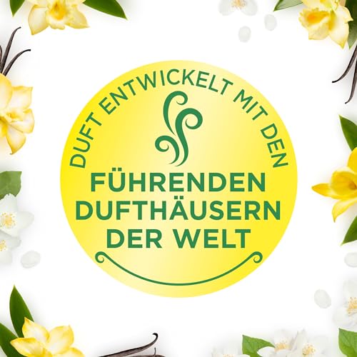 Air Wick Wohlfühl-Duftkerze XL im Glas – Duft: Sweet Vanilla Magic – Bis zu 40 Stunden Brenndauer – Enthält natürliche ätherische Öle – 220 g Duftkerze