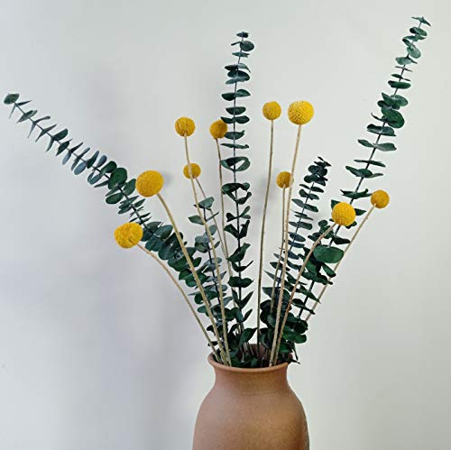 Ramo de flores secas con hojas de eucalipto y Billy Balls 22" miniatura 1