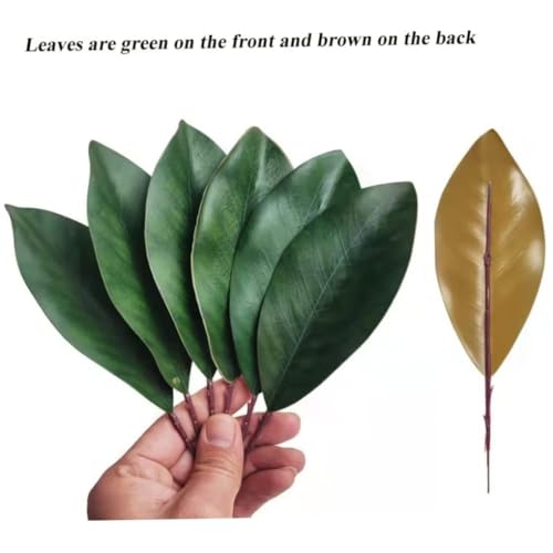 Hojas de magnolia falsas duraderas que no se marchitan pack de 30 4