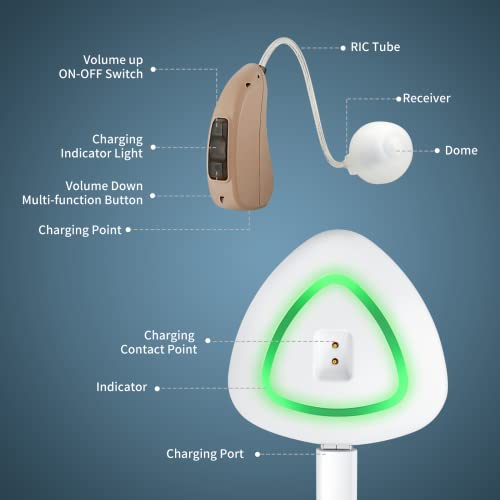 Rechargeable Hearing Amplifier To Aids For Seniors Adults,Behind-The-Ear(Bte) Magnetic Contact Charging Sound Device For Feedback Reduction Noise Cancelling Single #TOP2