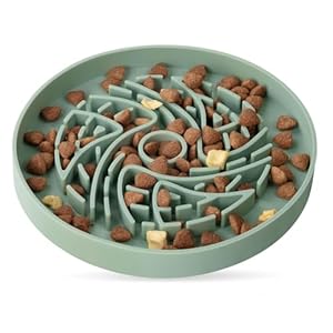 Slow Feeder Dog Bowls Puppy Slow Bowl Small Medium Breed Puzzle Dog Food Bowl Fun Puzzle Design, Wet Dry Food Cats Dogs A