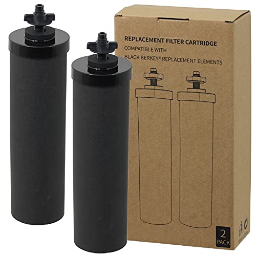 SPARES2GO Elemento Filtrante per Acqua compatibile con Berkey Sistema di Purificazione (Confezione da 2 Filtri a Cartuccia)