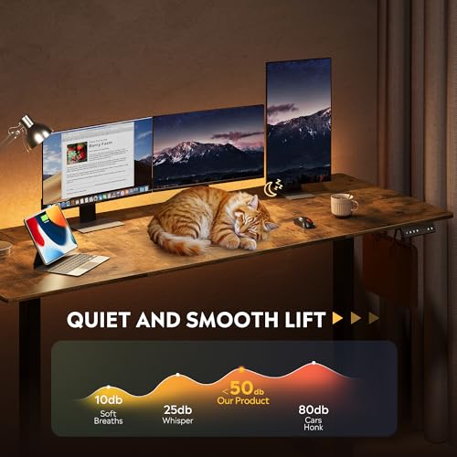 DEVAISE 71 Inch Electric Standing Desk, 3 Adjustable Height Stand up Desk for Home Office, Ergonomic Sit to Stand Desk with LED Touchscreen, Hook, 3 Memory Preset Computer Desk (Rustic Brown)