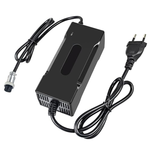 YZPOWER 42V 2A Caricabatterie Universal per Hoverboard,Caricabatterie per Monopattino Elettrico Connessione 3 pin
