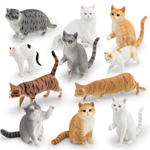 Wapik v~A L tBMA 10C Zbg 20 ~j`A  킢 A {̂悤 lC n Lf RNV ܎O a NX}X œK v[g ̐} mߋ eqQ[  K[f 