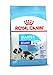 ROYAL CANIN C-08495 S.N. Starter Gigante - 15 kg