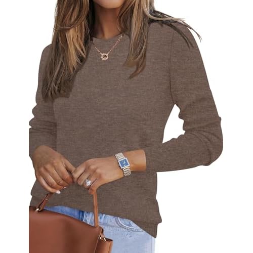 Ivicoer Womens Sweaters 2026 Trendy Long Sleeve Knit Pullover Light-Weight Crewneck Sweater Top S-XXL