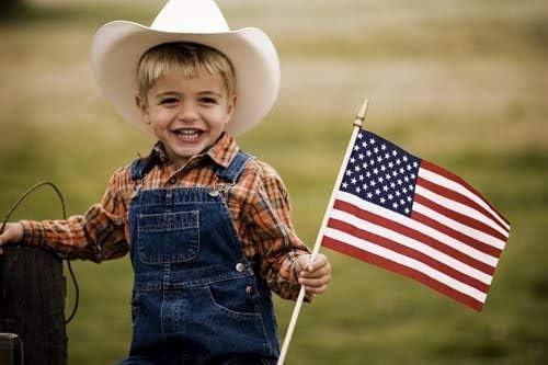 GIFTEXPRESS 12-Pack, Proudly MADE IN U.S.A. 8x12 Inch Spearhead Handheld American Stick Flags/Grave marker American Flags/USA Stick Flag (12) - Image 7