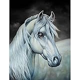 MXJSUA Diamond Painting Bilder Pferde, 5D Diamant Painting Bilder Erwachsene Diamond Painting Tiere, 5D Diamond Painting Erwachsene Set Diamond Painting Pferde Diamant Painting Pferd Weißes 30x40 cm
