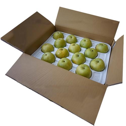 [先行予約]訳あり 20世紀梨 5kg(10〜18玉)サイズバラつき有り(L〜5L)生産者応援商品 9月上旬以降配送予定 JAたじま 12-23