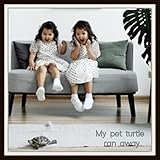 pet turtles for sale in durban  My pet turtle ran away