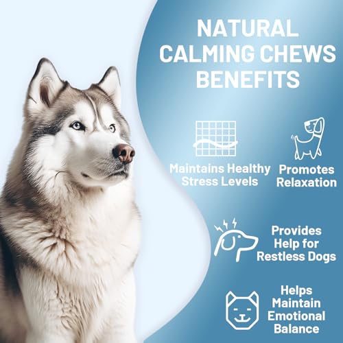 Noble-Beast-Dog-Hemp-Calming-Chews-for-Dogs-Melatonin-for-Dogs-Dog-Calming-Treats-Motion-Sickness-for-Dogs-All-Natural-Soft-Chews-with-Hemp-and-Melatonin-Chicken-Flavor-120-Count Noble Beast Dog Hemp Calming Chews for Dogs Melatonin for Dogs Dog Calming Treats Motion Sickness for Dogs All Natural Soft Chews with Hemp and Melatonin Chicken Flavor 120 Count