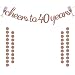 Glittery Rose Gold Cheers to 40 Years Banner for 40th Birthday Wedding Anniversary Party Decorations Supplies | Extra Rose Gold Glittery Circle Dots Garland