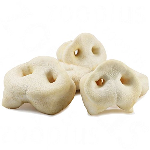 DriedDogTreats 10x THIN Dog Treats Dried White Puffed PORK PIG SNOUTS Treats 100% Natural Raw Food