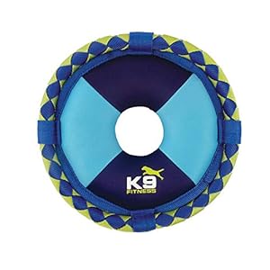 Zeus K9 Fitness Hydro Hundespielzeug 25cm