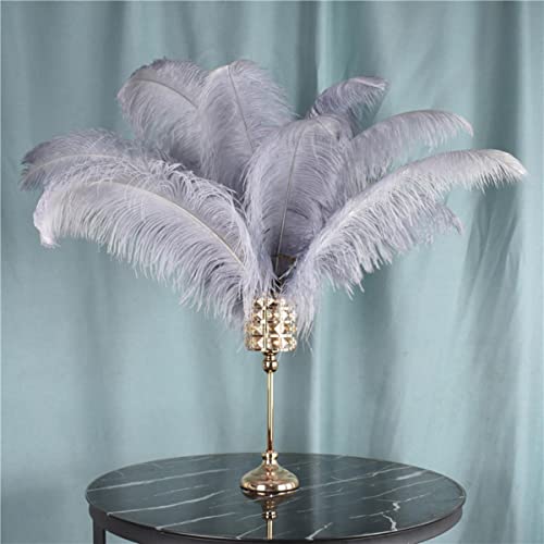 Plumes d'autruche grises de haute qualité pour décoration haut de gamme - 5