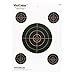 Champion VisiColor Sight-In Target with 4 Extra Bulls (Pack of 10)