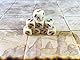 Plaid Hat Games |Summoner Wars Premium Dice | Accesoire