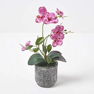 HOMESCAPES Artificial Pink Orchid in Pot 40 cm Tall Lifelike Faux Orchid Plant In Grey Cement Pot Real Touch Silk Flowers and Green Leaves Phalaenopsis Orchid Flower for Indoor Decoration